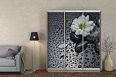 Шафа-купе 3Д Стандарт 190х60 h-240, ТМ Гарант, фото 3