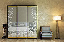 Шафа-купе 3Д Стандарт 190х60 h-220, ТМ Гарант, фото 4