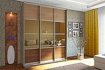 Шафа-купе 3Д Стандарт 190х60 h-240, ТМ Гарант, фото 4