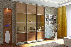 Шафа-купе 3Д Стандарт 190х60 h-220, ТМ Гарант, фото 2