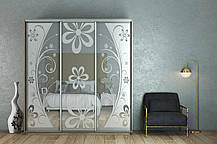 Шафа-купе 3Д Стандарт 200х45 h-220, ТМ Гарант, фото 5