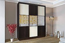 Шафа-купе 3Д Стандарт 200х45 h-220, ТМ Гарант, фото 2