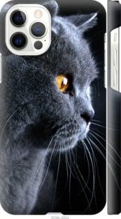 Чехол на Apple iPhone 12 Красивый кот "3038c-2053-47372"