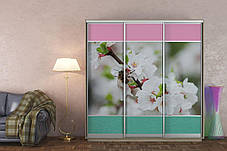 Шафа-купе 3Д Стандарт 210х45 h-240, ТМ Гарант, фото 3