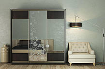 Шафа-купе 3Д Стандарт 210х45 h-240, ТМ Гарант, фото 4