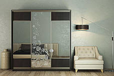 Шафа-купе 3Д Стандарт 210х60 h-240, ТМ Гарант, фото 2