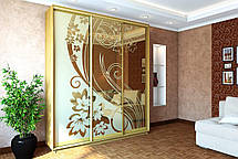 Шафа-купе 3Д Стандарт 210х45 h-220, ТМ Гарант, фото 4