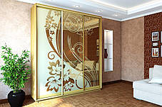 Шафа-купе 3Д Стандарт 210х60 h-240, ТМ Гарант, фото 3