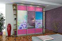 Шафа-купе 3Д Стандарт 220х45 h-240, ТМ Гарант, фото 4