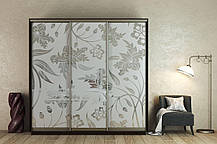 Шафа-купе 3Д Стандарт 220х60 h-240, ТМ Гарант, фото 4