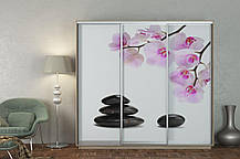 Шафа-купе 3Д Стандарт 230х45 h-220, ТМ Гарант, фото 4