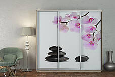 Шафа-купе 3Д Стандарт 230х60 h-220, ТМ Гарант, фото 3