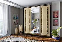 Шафа-купе 3Д Стандарт 230х60 h-220, ТМ Гарант, фото 4