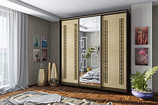 Шафа-купе 3Д Стандарт 230х60 h-240, ТМ Гарант, фото 3