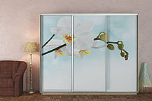 Шафа-купе 3Д Стандарт 260х60 h-240, ТМ Гарант, фото 4