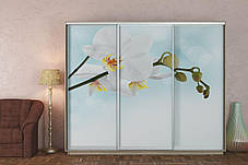 Шафа-купе 3Д Стандарт 260х45 h-240, ТМ Гарант, фото 2