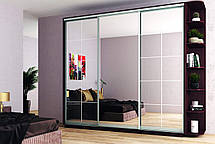 Шафа-купе 3Д Стандарт 260х45 h-240, ТМ Гарант, фото 5