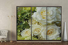 Шафа-купе 3Д Стандарт 270х45 h-240, ТМ Гарант, фото 2