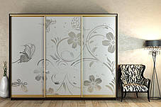 Шафа-купе 3Д Стандарт 270х60 h-220, ТМ Гарант, фото 2