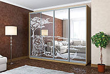 Шафа-купе 4Д Стандарт 300х45 h-240, ТМ Гарант, фото 4