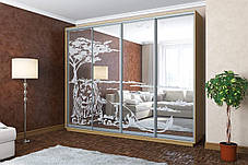 Шафа-купе 4Д Стандарт 300х60 h-240, ТМ Гарант, фото 3