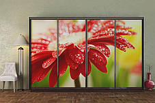 Шафа-купе 4Д Стандарт 330х45 h-240, ТМ Гарант, фото 3