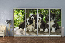 Шафа-купе 4Д Стандарт 360х45 h-240, ТМ Гарант, фото 2