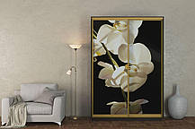 Шафа-купе 2Д Стандарт 150х45 h-220, ТМ Гарант, фото 4