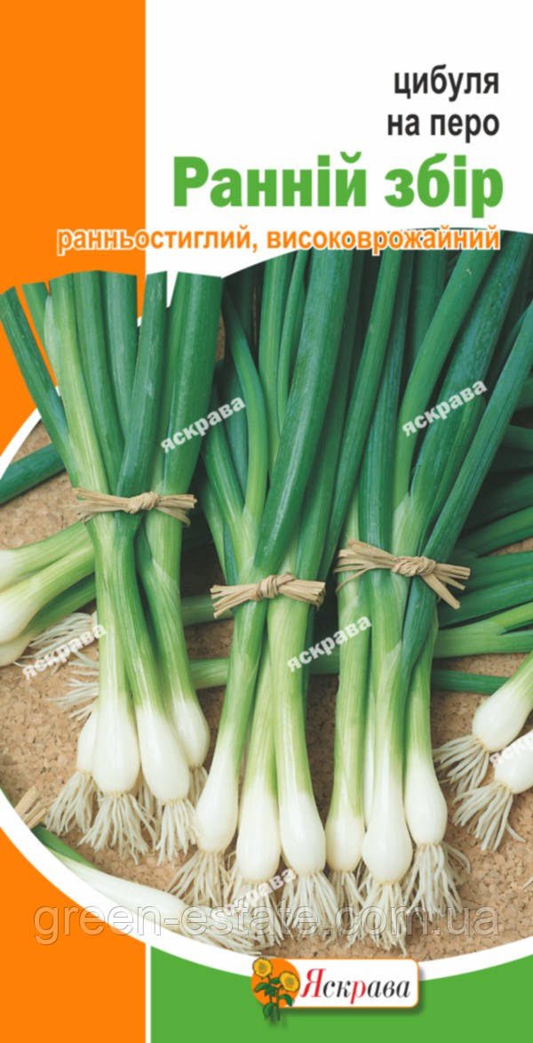 Цибуля на перо Ранній збір 1гр