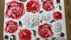 Набір інтер'єрних мінінаклейок Акварельні біло-червоні півонії, від 10 до 20 см
