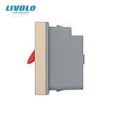 Механізм розетка Hi-Fi аудіо Livolo золото (VL-FCSD-1APS01), фото 3