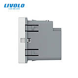 Механізм розетка USB type C з блоком живлення 45W Livolo сірий (VL-FCUC-2IP), фото 3