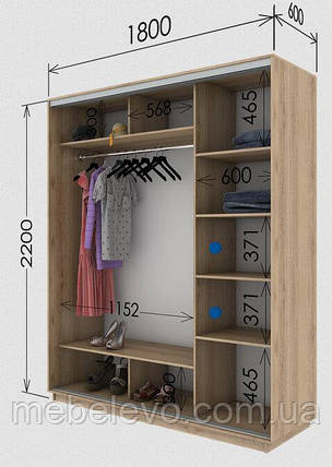 Шафа-купе 2Д Стандарт 180х60 h-220, ТМ Гарант, фото 1