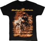 Футболка Harley Davidson