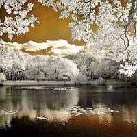 Діамантова мозаїка. Картина на підрамнику "Зимове озеро", 30х30см