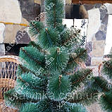 Штучні сосни (Білі кінчики) 0.7м, фото 8