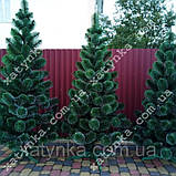 Штучні сосни (Білі кінчики) 1.3м, фото 9