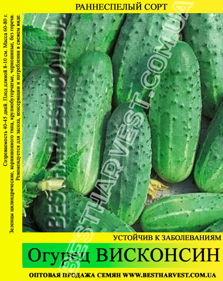 Насіння огірка "Вісконсин" 0,5 кг