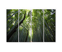 Модульная картина Art-Wood «Бамбуковый лес» 4 модуля 120x180 см