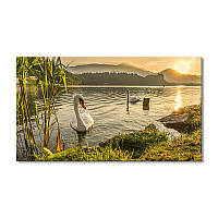 Модульная картина Art-Wood «Лебеди и закат» 1 модуль 40х60 см