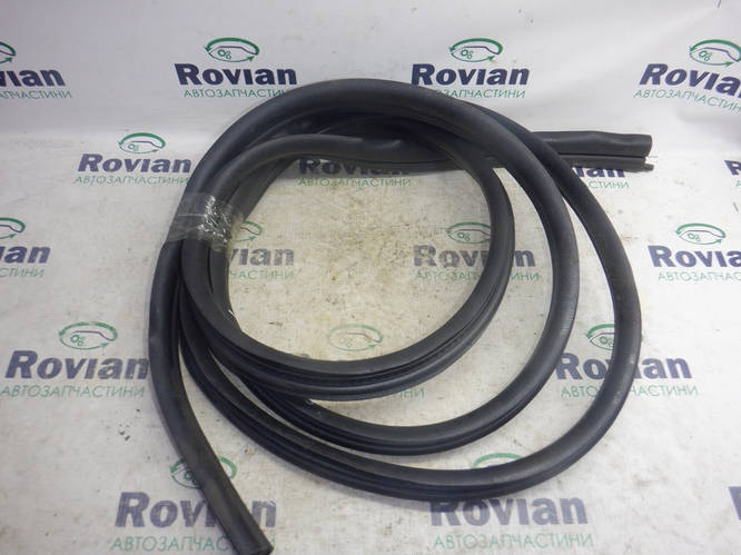 Уплотнитель двери задней (Мінівен) Renault SCENIC 2 2003-2006 (Рено ...