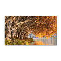 Модульная картина Art-Wood «Пейзаж осенние деревья над рекой» 1 модуль 40х60 см