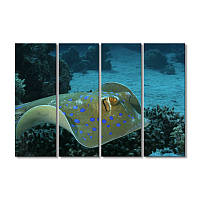 Модульная картина Art-Wood «Рыба скат Таниура-лимма» 4 модуля 60x90 см
