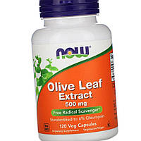 Екстракт з листя оливкового дерева NOW Olive Leaf Extract 500 mg 120 капсул вегетаріанських