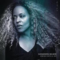 Cassandra Wilson - Coming Forth By Day 2 LP Set 2015 Sony Music/EU Mint Виниловая пластинка (art.232155)