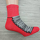Шкарпетки жіночі махрові стопа Термо висока гумка 23-25р. асорті 30032560, фото 4