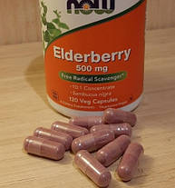 Плоди чорної бузини Now Квіти 500 mg 60 veg caps, фото 3