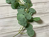 Ліана евкаліпта 1,7 світло - зеленого кольору, фото 3