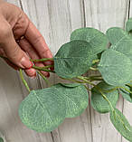 Ліана евкаліпта 1,7 світло - зеленого кольору, фото 2