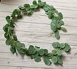 Ліана евкаліпта 1,7 світло - зеленого кольору, фото 4